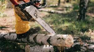 A-and-N-tree-felling