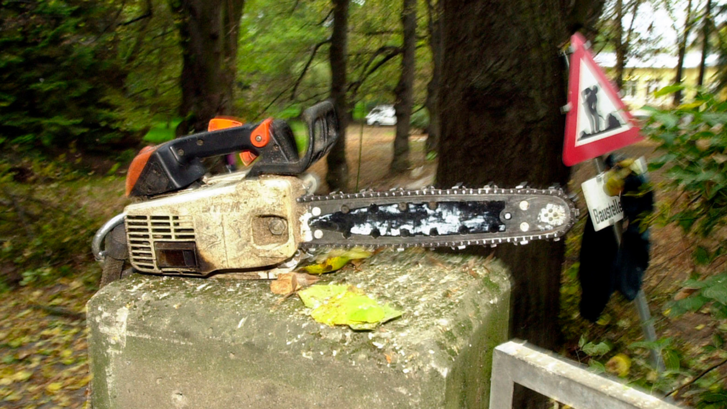 A-and-N-tree-felling