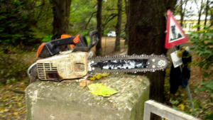 A-and-N-tree-felling